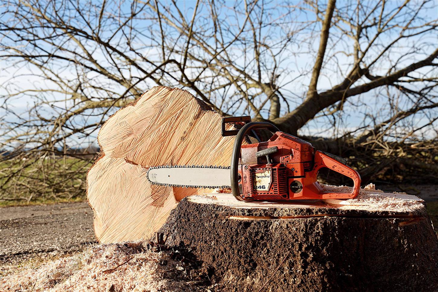 Forestry